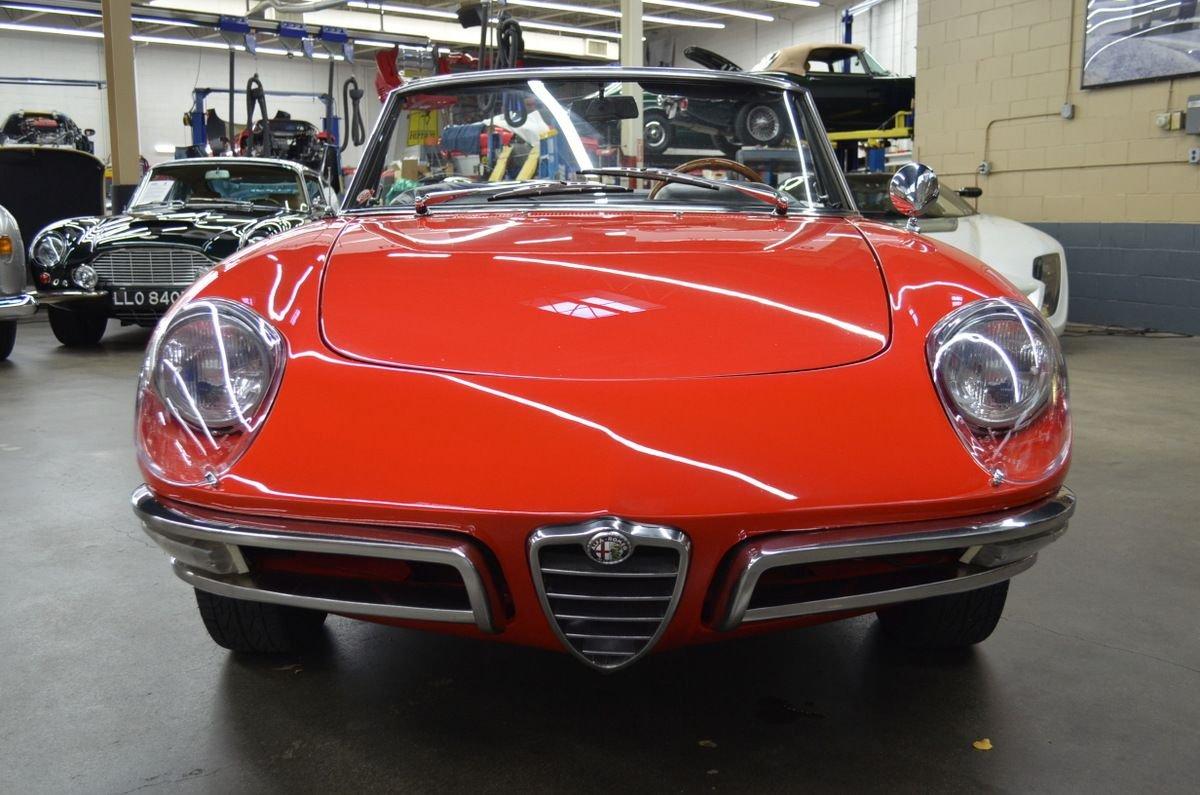 Used 1968 Alfa Romeo Duetto 1600 Spider For Sale (Sold
