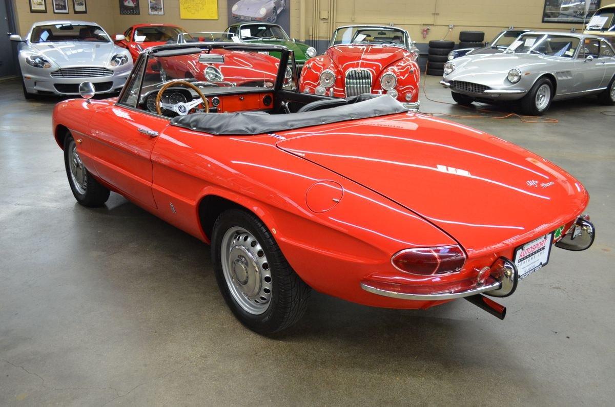 Used 1968 Alfa Romeo Duetto 1600 Spider For Sale (Sold
