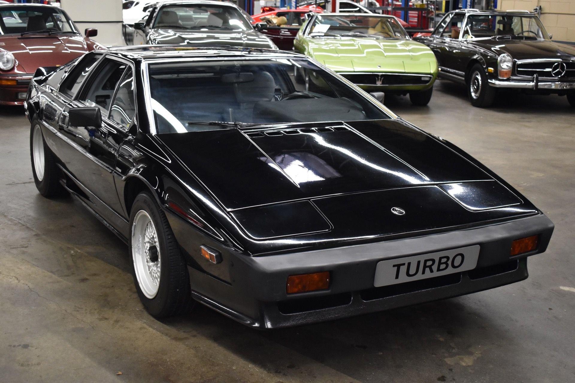 Used 1984 Lotus Esprit Turbo For Sale (Sold) | Autosport Designs